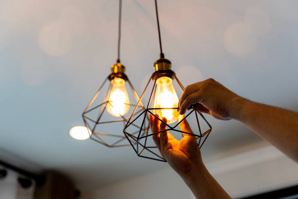 Best Electrician for Home Renovation  in Pho, IL